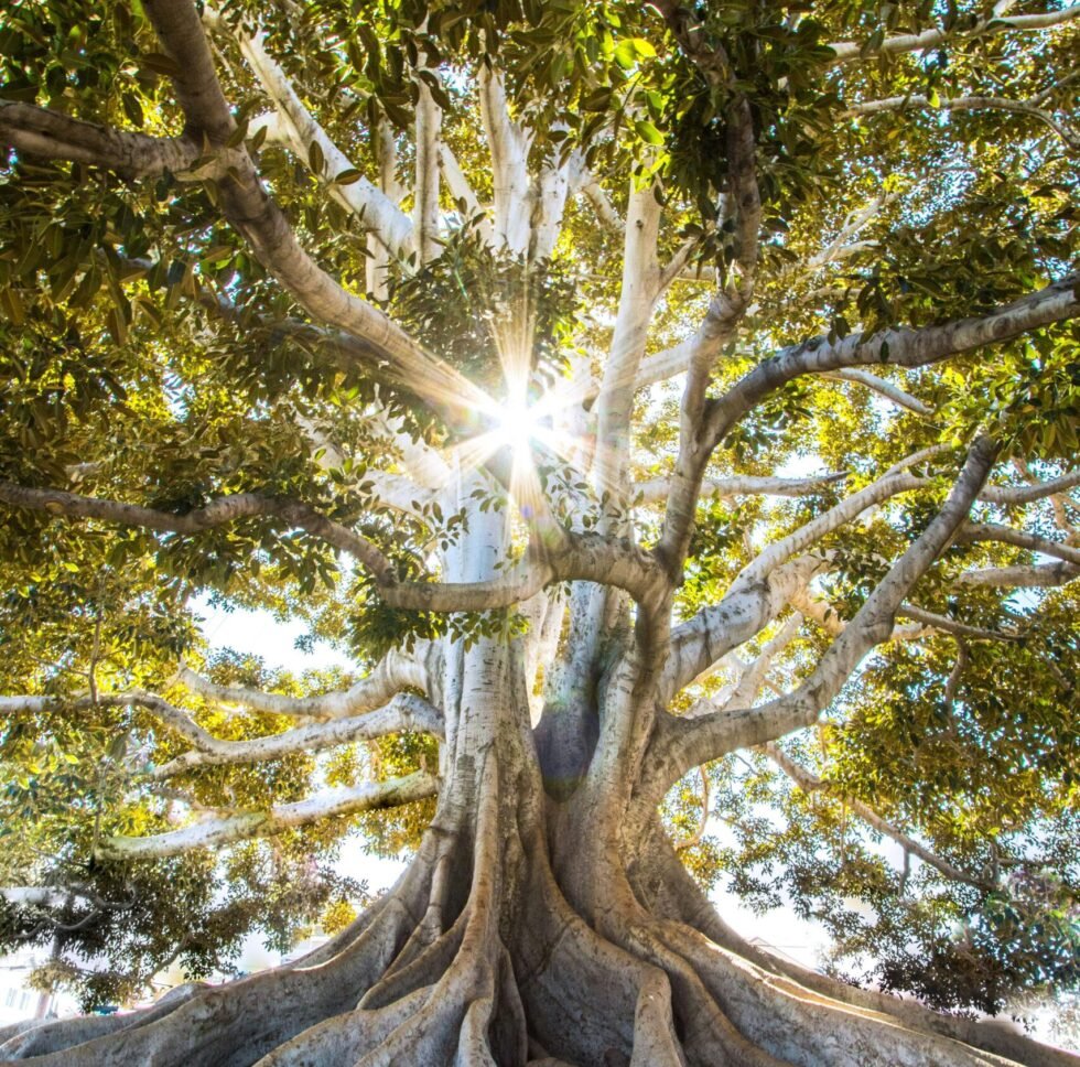 Comprehensive Guide to Energy Healing and Its Tools