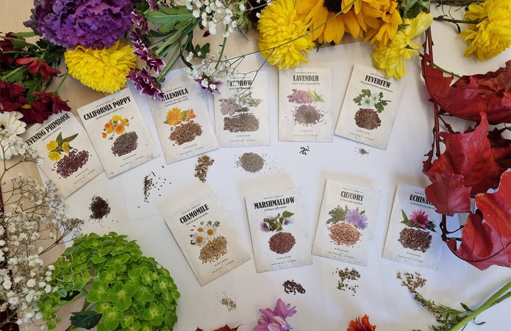 Medicinal Garden Kit: Growing Your Own Natural Pharmacy with 10 Medicinal Plants